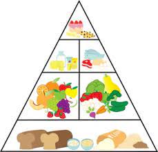 food pyramid
